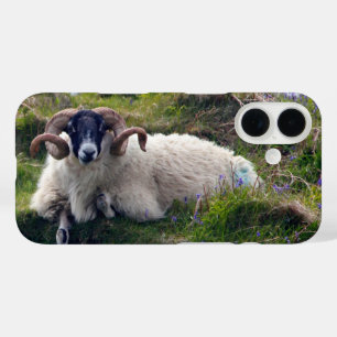 Handsome Curly Horned Ram Lounging in Bluebells iPhone 16 Case