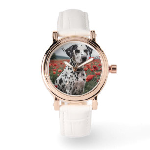 Handsome Dalmation Dog In The Poppy Field, Watch