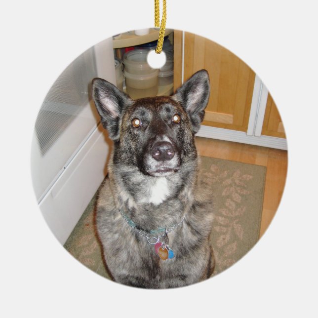 Handsome Dog Ornament (Front)