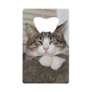 Handsome Fellow