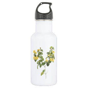 handsome flat-pea(Platylobium sp.) by Redouté 532 Ml Water Bottle