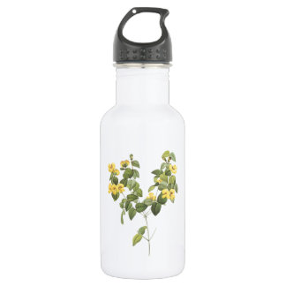 handsome flat-pea(Platylobium sp.) by Redouté 532 Ml Water Bottle