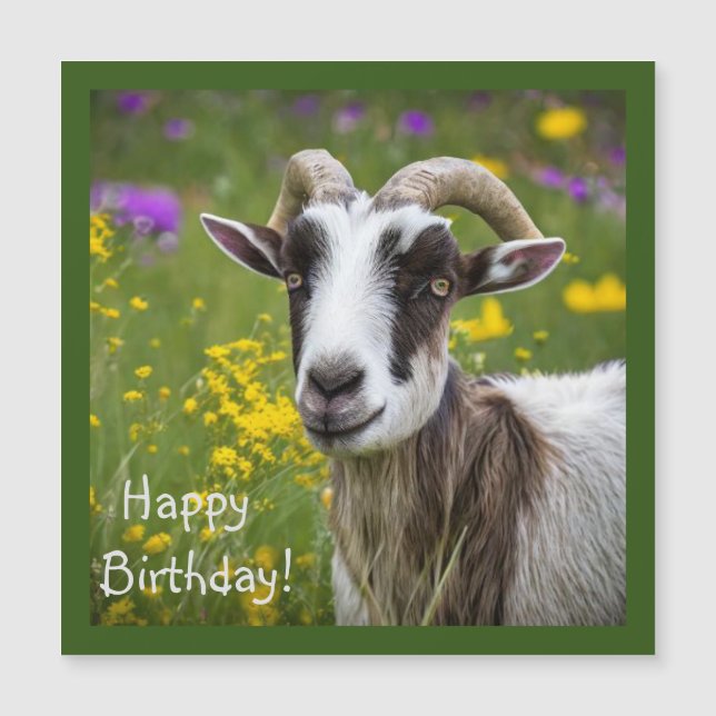 Handsome Goat (Front)