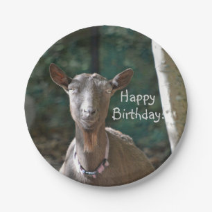 Handsome Goat Paper Plate