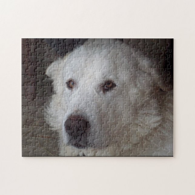 Handsome Great Pyrenees Dog Jigsaw Puzzle (Horizontal)