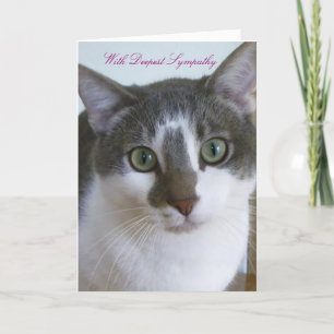 Handsome Grey and White Cat - Pet Sympathy Card