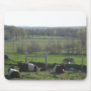 Handsome Herd of Belties Relaxing Mouse Mat
