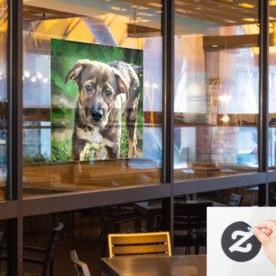 Handsome Husky Mix Puppy Window Cling