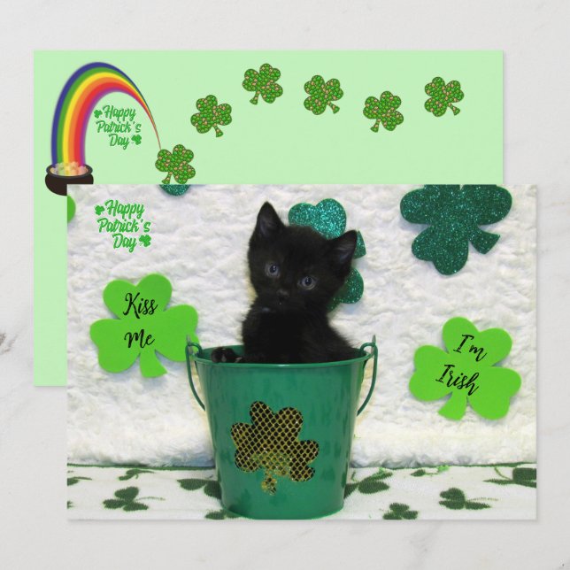 Handsome Jack - Cat / Kitten St. Patrick's Day  (Front/Back)