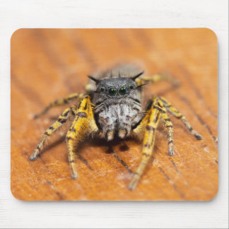 Handsome Jumper looking at you! Mouse Mat
