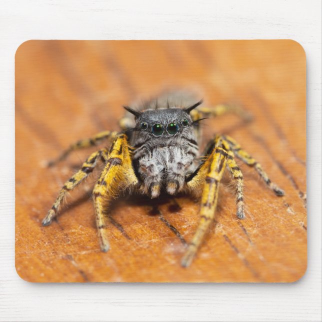 Handsome Jumper looking at you! Mouse Mat (Front)
