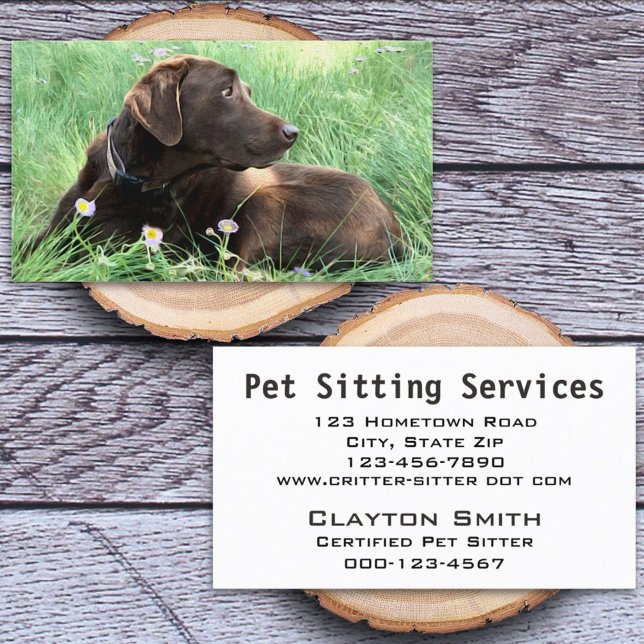 Handsome Labrador Retriever Photograph Animal Care Business Card (Creator Uploaded)