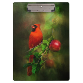Handsome Male Cardinal Clipboard