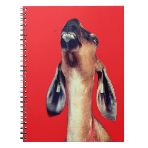 Handsome Notebook