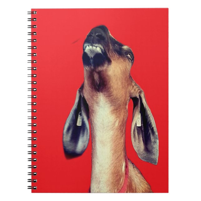 Handsome Notebook (Front)