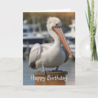 Handsome Pelican Birthday Card