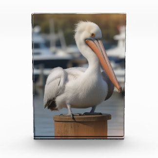 Handsome Pelican Photo Block