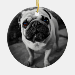 Handsome Pug Ceramic Tree Decoration