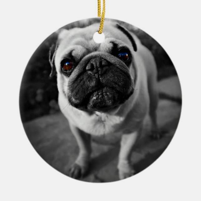Handsome Pug Ceramic Tree Decoration (Front)