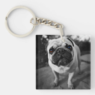 Handsome Pug Key Ring
