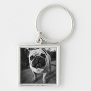 Handsome Pug Key Ring
