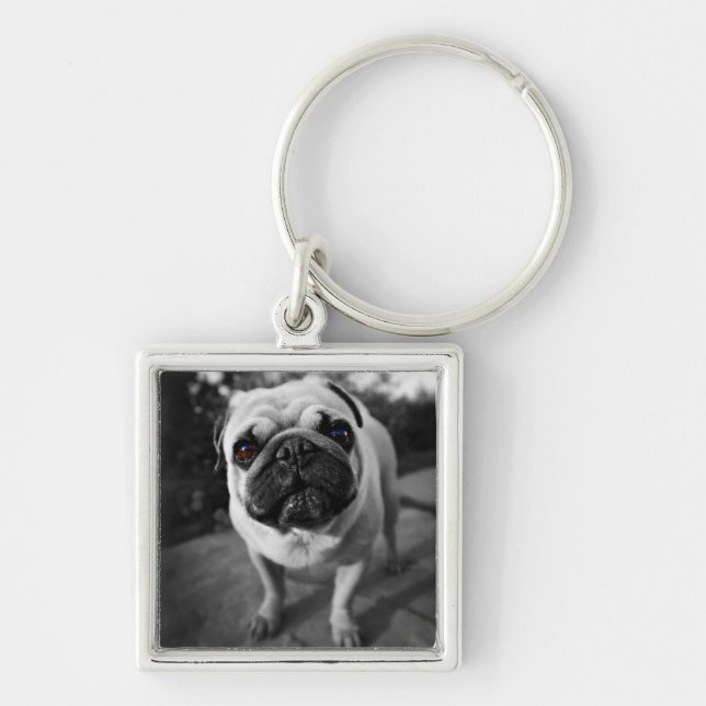 Handsome Pug Key Ring (Front)