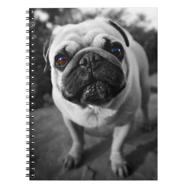 Handsome Pug Notebook (Front)