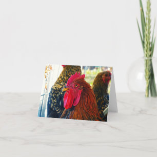 Handsome Rooster Card