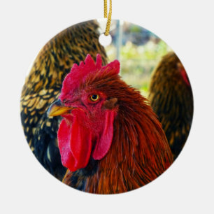 Handsome Rooster Ceramic Tree Decoration