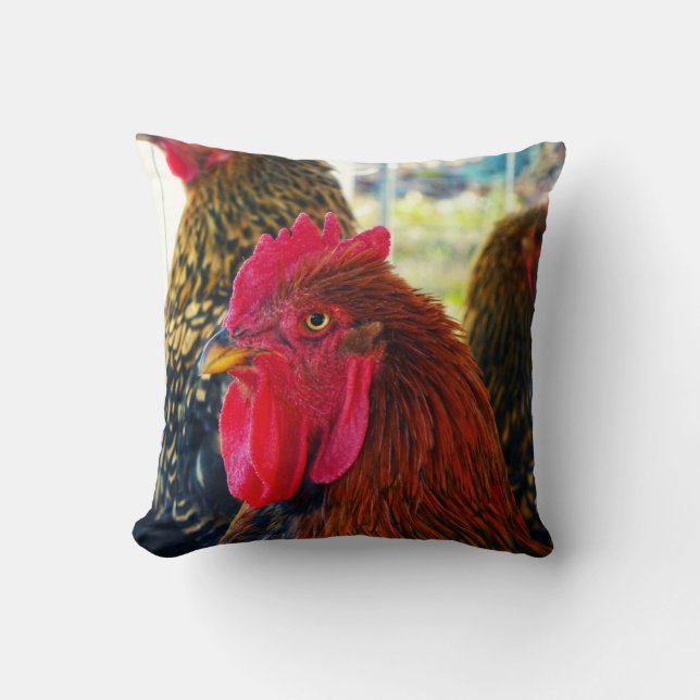 Handsome Rooster Cushion (Front)