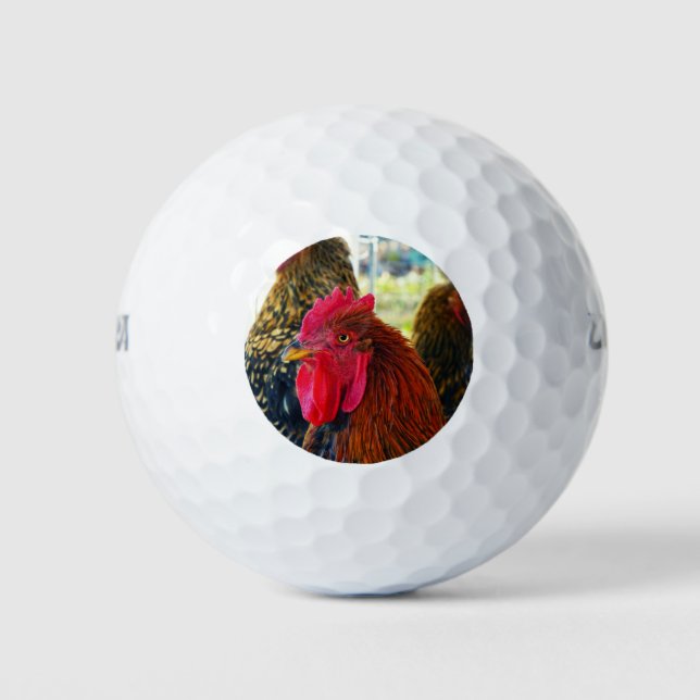 Handsome Rooster Golf Balls (Front)