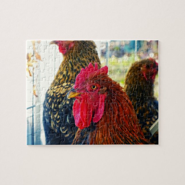 Handsome Rooster Jigsaw Puzzle (Horizontal)