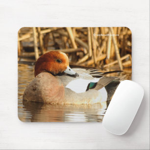 Handsome Stranger Eurasian Wigeon Duck at the Pond Mouse Mat