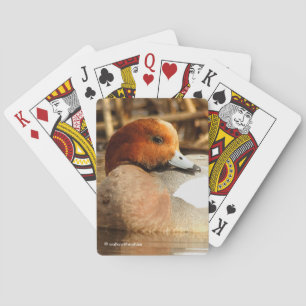Handsome Stranger in Town Eurasian Wigeon Duck Playing Cards