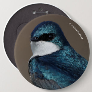 Handsome Tree Swallow: Bird on a Wire 6 Cm Round Badge