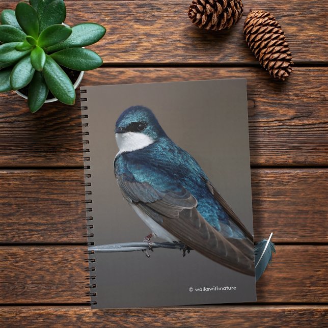 Handsome Tree Swallow: Bird on a Wire Notebook (Handsome Tree Swallow on a Wire Journal Cover Photo)