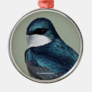 Handsome Tree Swallow Blue Songbird Metal Tree Decoration
