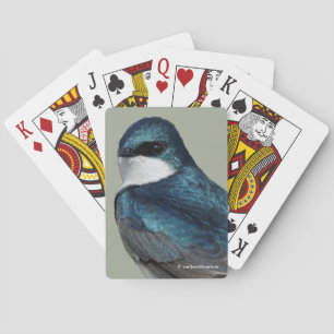 Handsome Tree Swallow Songbird on a Wire Playing Cards