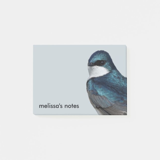 Handsome Tree Swallow: Songbird on a Wire Post-it Notes (Front)