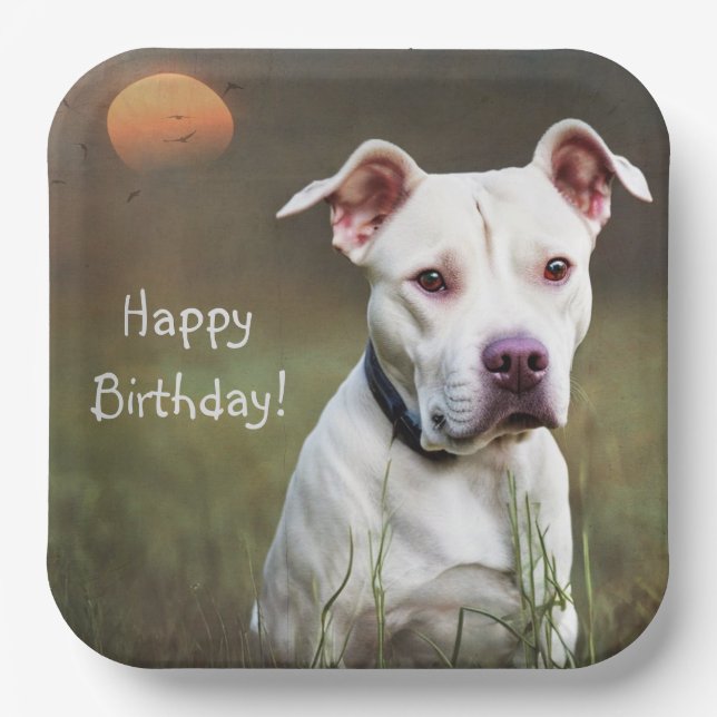 Handsome White Pitbull Birthday Paper Plate (Front)