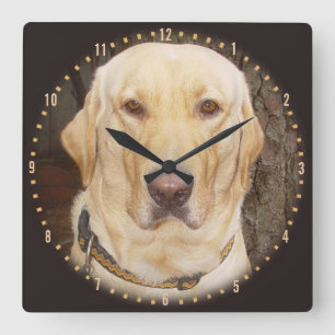Handsome Yellow Lab Round Clock