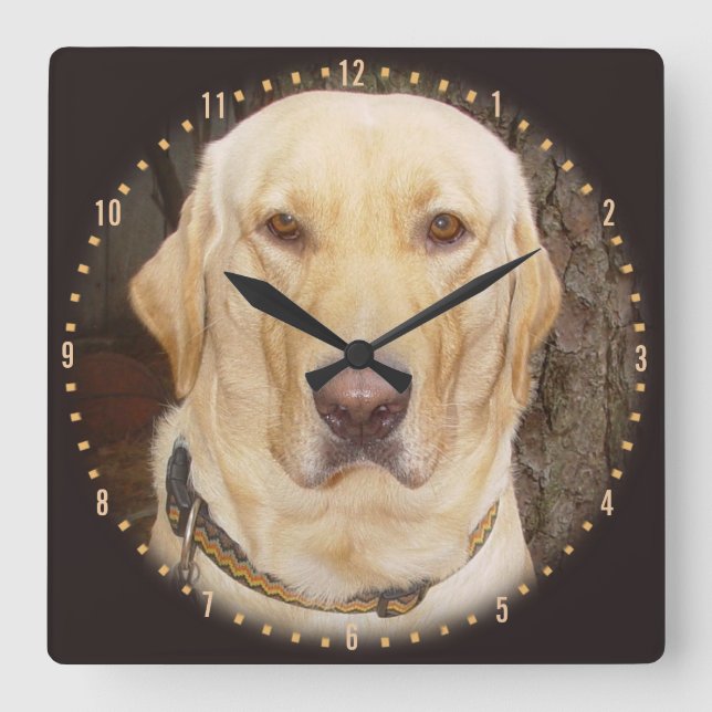 Handsome Yellow Lab Round Clock (Front)