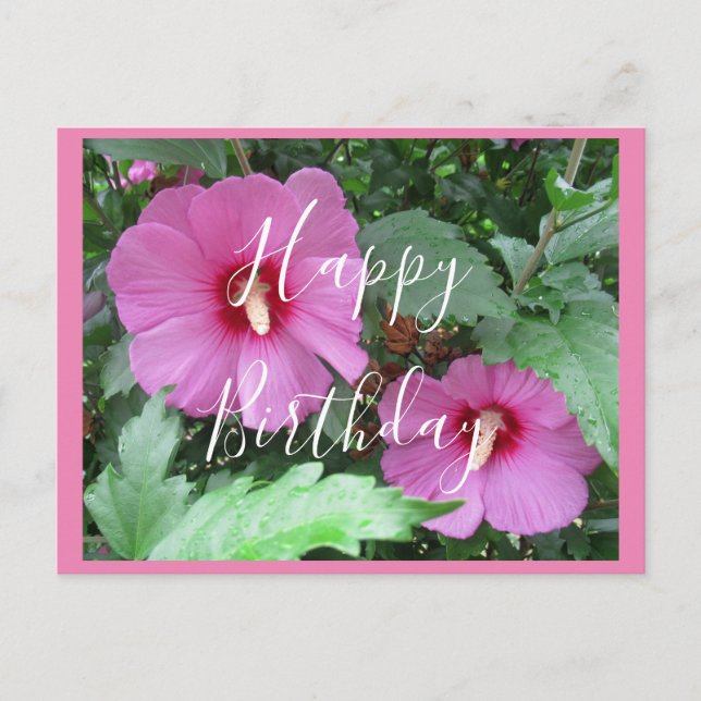 Handwritten Pink Rose of Sharon Photo Birthday Postcard (Front)