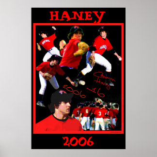 Haney Baseball Poster
