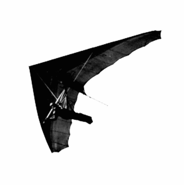 Hang Glider Photo Sculpture (Front)