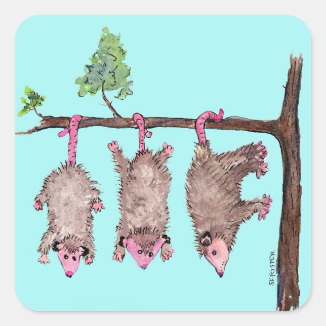 Hang in there 3 possums watercolor stickers (Front)