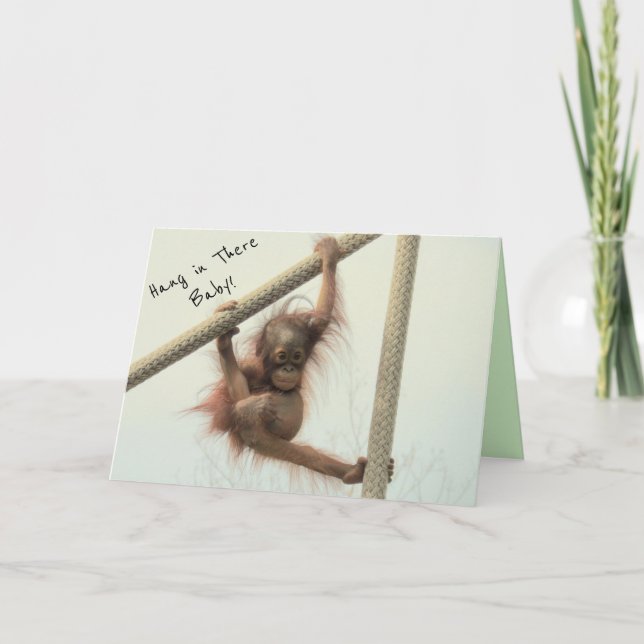 Hang In There Baby Orangutan Greeting Card (Front)