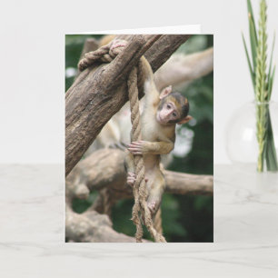 Hang in there card