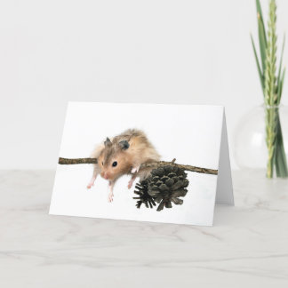 Hang in there card