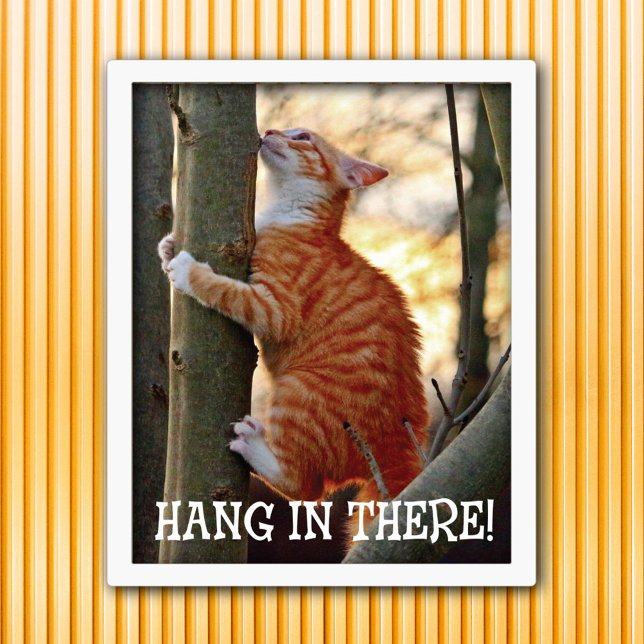 Hang in There Cat Poster (Creator Uploaded)